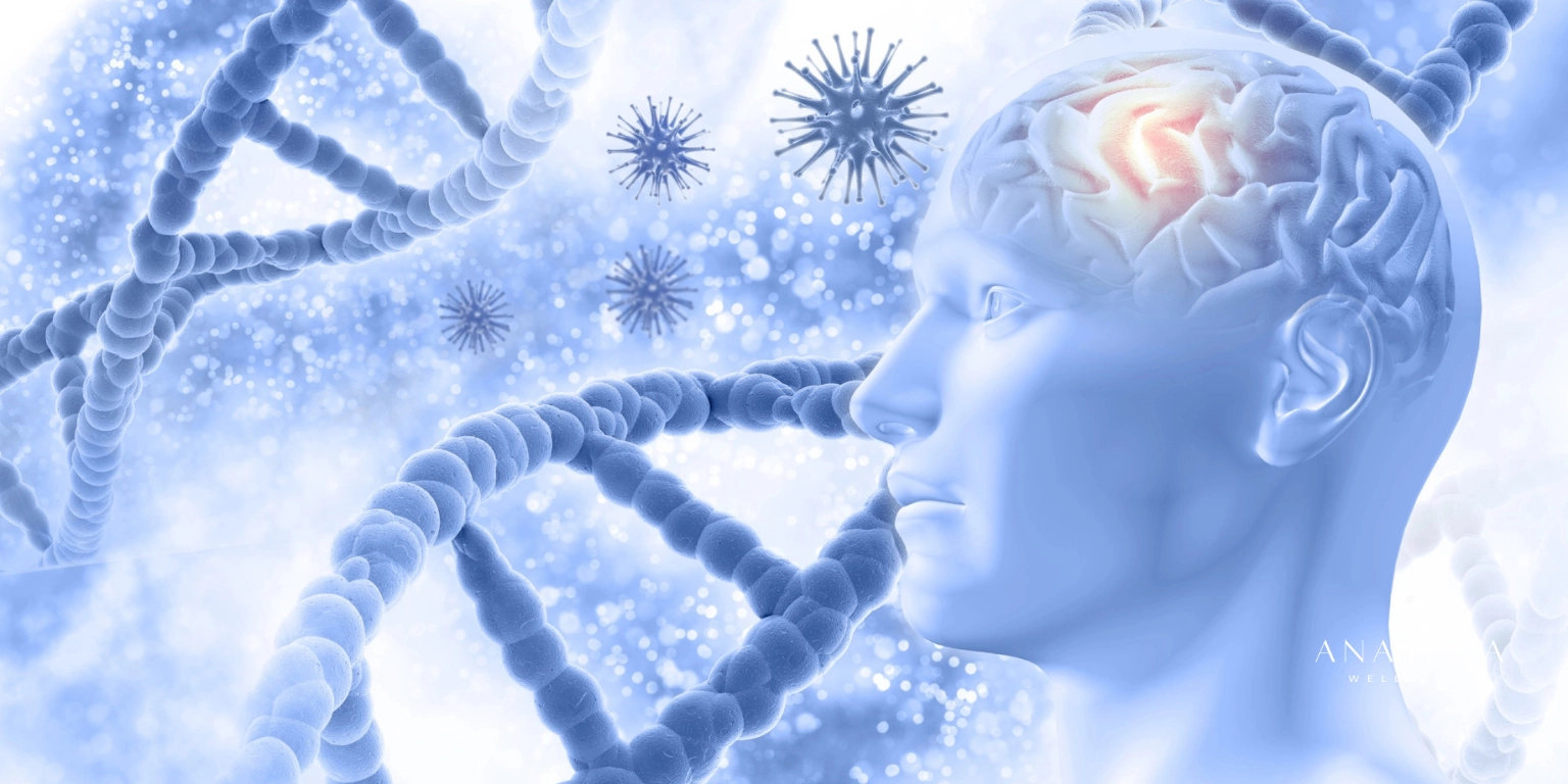 Why Gut Health Has Become the Foundation of Everything Else